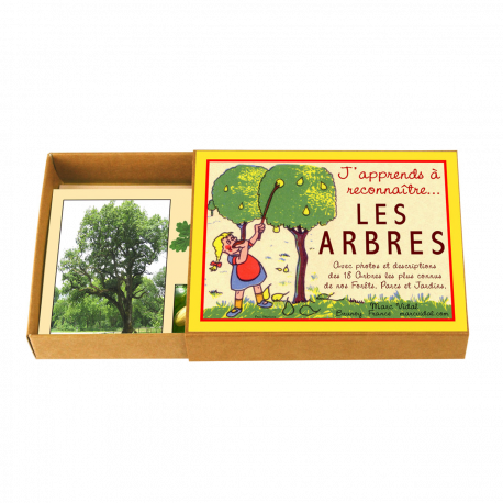 Jeu J'apprends à reconnaître les arbres