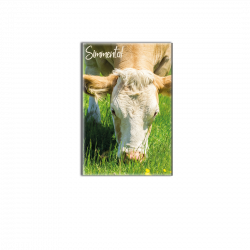 SIMMENTAL - magnet frigo