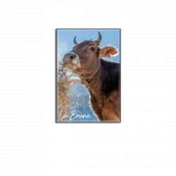 VACHE BRUNE - magnet frigo