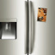 TARINE - magnet frigo