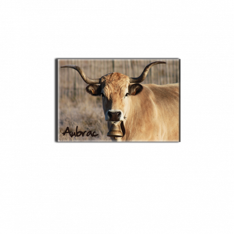 AUBRAC (vache) - magnet frigo