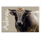 AUBRAC (taureau) - magnet frigo