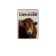 LIMOUSIN - magnet frigo