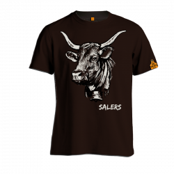 Vache Salers