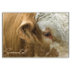 SIMMENTAL - magnet frigo