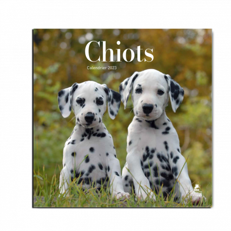 Calendrier Chiots 2023