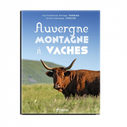 Auvergne Montagne à Vaches