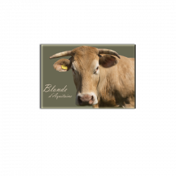 BLONDE D'AQUITAINE - magnet frigo