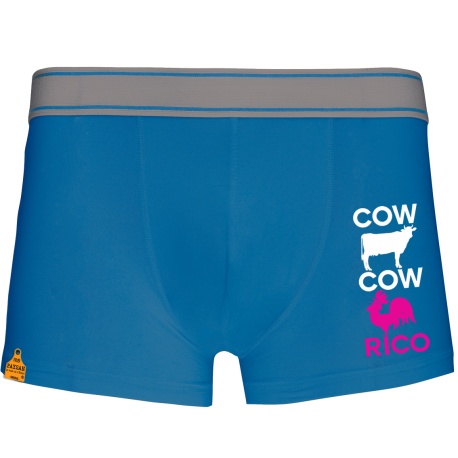 Boxer Cow cow Rico