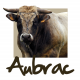 Mug Aubrac