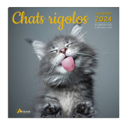 Calendrier Chats Rigolos 2024