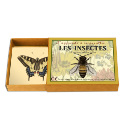 J'apprends a reconnaitre les Insectes