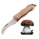 couteau a champignons